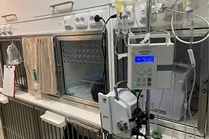 Hospitalizace pacientů