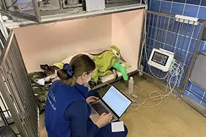 Neustálý monitoring