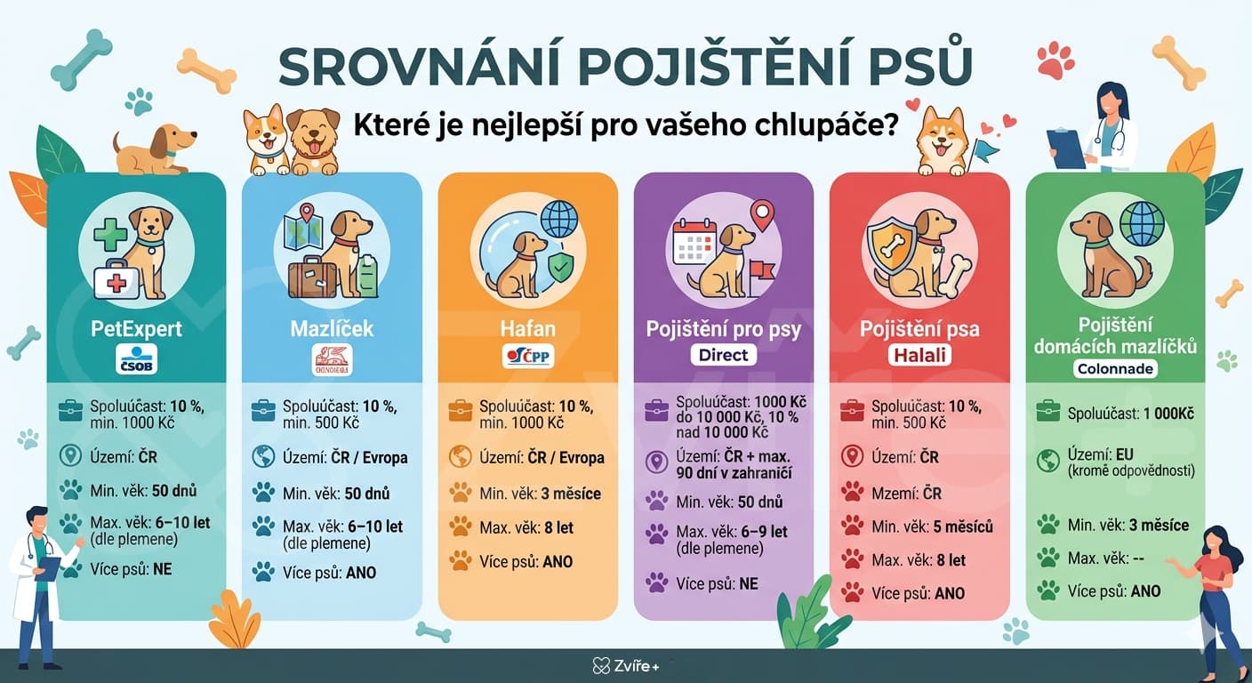 Srovn&aacute;n&iacute; poji&scaron;těn&iacute; dom&aacute;c&iacute;ch mazl&iacute;čků