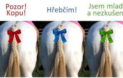 Barevné stužky na ocasech koní. Co znamenají?