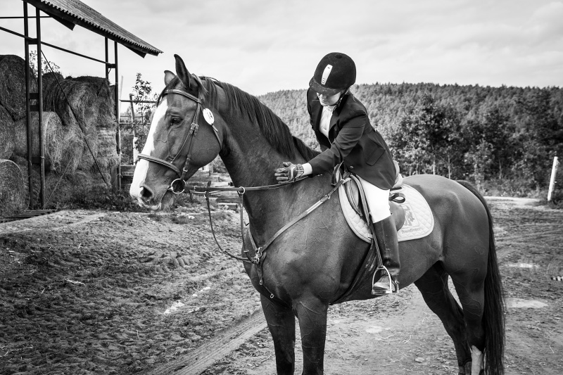 Zvířecí sportovci potřebují speciální péči – co by měli užívat? Zvířecí sportovci potřebují speciální péči – co by měli užívat?