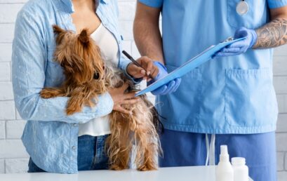 6 nejčastějších úrazů psů, které pojišťovna proplácí